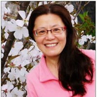 helena wang