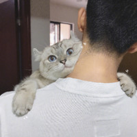黄晓帆