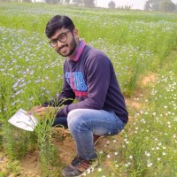 Pramod Kumar Prajapati