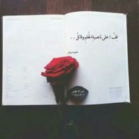 Amira Hassan
