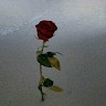 Hassania Rachid