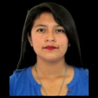 Dennis Campos León