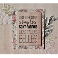 Le Scrap De Presci Scrap