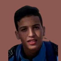 Hussein Hamou