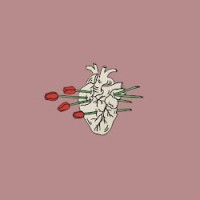 Vanessa Hildebrandt