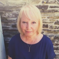 Su Bryant, BA, MSc, FCIPD, MCMI