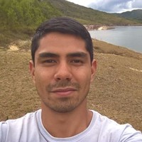 Henrique Teruo Kuwamoto