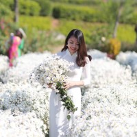 Chu Minh Trang