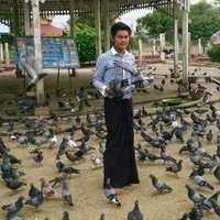 Nyi Nyi Aung