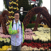 Chen Zheng