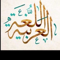 Lobna H.