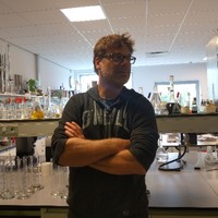 Rogier Van Der Mark
