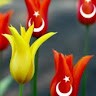 Hüsnü Uzun