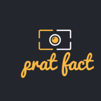 Prat Kushik