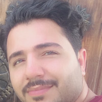 Vahid Amiri