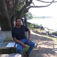 Tesfaye Hailu