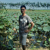Nhưng Đỗ
