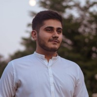 Hassan Malik