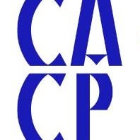 Chinese American Construction Professionals