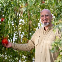 David Isern i Casanovas