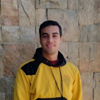 Abdelwahed N.