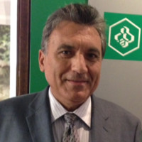 Orlando Ali
