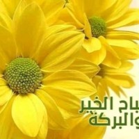 Manal Ibrahim