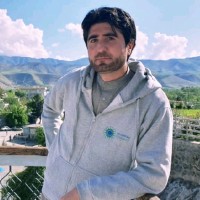 Sayed Fawad Hashemi