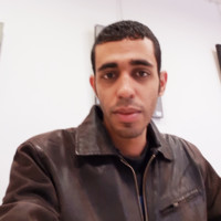 Amin Elsayeed