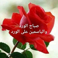 Ahmed Belhadj