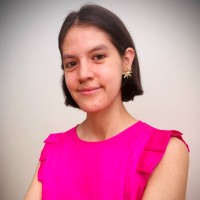 Estefany Aiquipa Figueroa