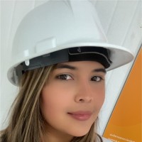 Amarilis Perez