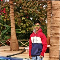 Ankit Gajbhiye