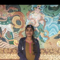 Karthikeyani .S