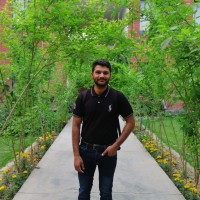 Junaid Kamran