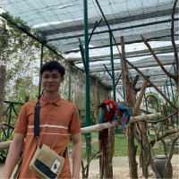 Thạch Phạm (Jade)