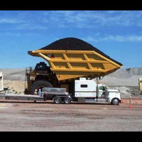Robert Sheargold