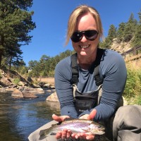 Laurie Driggs Fontenot