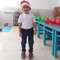 Ander N. Idrogo Burga