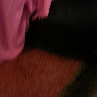 Abdi a