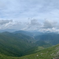 杨雪红