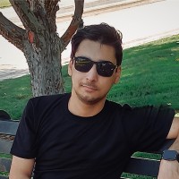 Amir M
