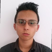 Orlando Alberto Castillo Cortes