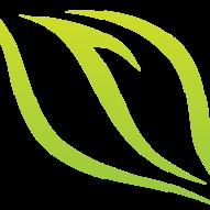 HERVÉ REGINALD LAMOTHE