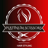 Platinum Scissors hair