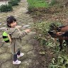 杨达清