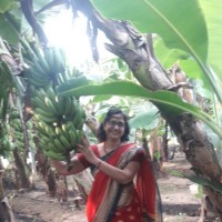 Kalyani Moharir