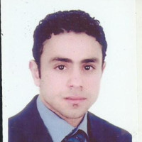 hesham hamza
