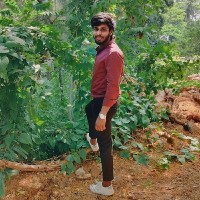 Nithish Kumar D