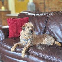 Finnis Pupperson